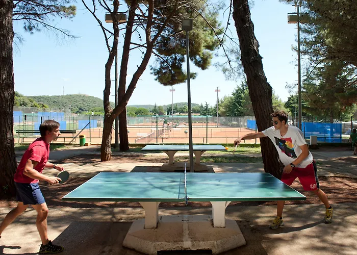 Pribjeći Maistra Select Petalon 4*