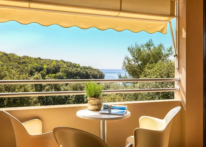 Maistra Select Petalon 4* 브르사르