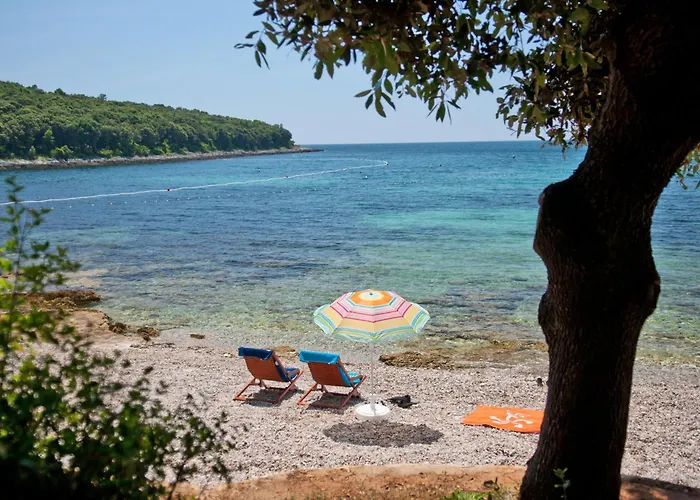 Maistra Select Petalon