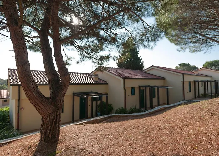 Maistra Select Petalon 브르사르